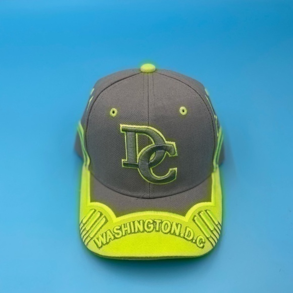 Vintage Embroidered Washington DC Hat
